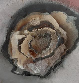 Click image for larger version

Name:	20201124_062451.jpg
Views:	2833
Size:	129,4 Kt
ID:	1904951