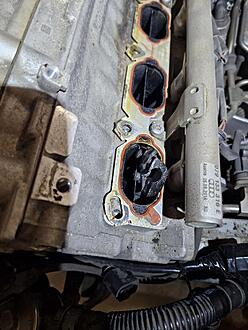 Click image for larger version  Name:	20251009_165906.jpg Views:	0 Size:	123,7 Kt ID:	1989578