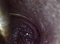 Click image for larger version  Name:	image.png Views:	0 Size:	339,6 Kt ID:	1994994
