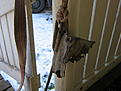 Click image for larger version

Name:	Marttisten kuvia 339.jpg
Views:	1076
Size:	92,2 Kt
ID:	1598620