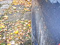 Click image for larger version

Name:	IMG_0584.JPG
Views:	626
Size:	263,7 Kt
ID:	1599494
