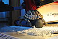 Click image for larger version

Name:	DSC_4566.jpg
Views:	711
Size:	80,3 Kt
ID:	1600459