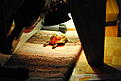 Click image for larger version

Name:	DSC_4883.jpg
Views:	747
Size:	93,3 Kt
ID:	1600460
