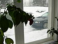 Click image for larger version

Name:	DSCN1897.JPG
Views:	553
Size:	213,3 Kt
ID:	1600625
