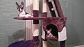 Click image for larger version

Name:	2011-10-23-071.jpg
Views:	585
Size:	194,4 Kt
ID:	1604324