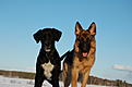 Click image for larger version

Name:	DSC_1698.jpg
Views:	779
Size:	95,8 Kt
ID:	1609212