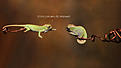 Click image for larger version

Name:	liskot.jpg
Views:	427
Size:	264,3 Kt
ID:	1609554