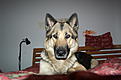 Click image for larger version

Name:	PICT0021.jpg
Views:	572
Size:	138,8 Kt
ID:	1612259