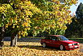 Click image for larger version

Name:	IMG_1726.jpg
Views:	1614
Size:	526,6 Kt
ID:	1615175
