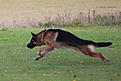 Click image for larger version

Name:	IMG_4146.jpg
Views:	811
Size:	189,6 Kt
ID:	1615193
