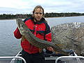 Click image for larger version

Name:	20131102_130903.jpg
Views:	493
Size:	215,2 Kt
ID:	1615542