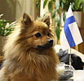 Click image for larger version

Name:	06122013_1.jpg
Views:	655
Size:	166,6 Kt
ID:	1615881