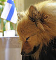 Click image for larger version

Name:	06122013_2.jpg
Views:	640
Size:	133,6 Kt
ID:	1615882