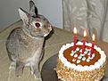 Click image for larger version

Name:	Zorritos_3v.jpg
Views:	792
Size:	110,0 Kt
ID:	1615930