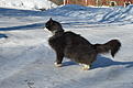 Click image for larger version

Name:	IMG_3091.JPG
Views:	673
Size:	397,9 Kt
ID:	1615994