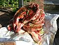 Click image for larger version

Name:	bistecca_fiorentina_italy_2014_02.jpg
Views:	453
Size:	162,4 Kt
ID:	1621286