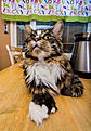 Click image for larger version

Name:	IMG_6063.jpg
Views:	816
Size:	155,1 Kt
ID:	1621518