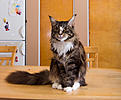 Click image for larger version

Name:	IMG_6074.jpg
Views:	765
Size:	171,6 Kt
ID:	1621519