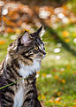 Click image for larger version

Name:	IMG_5813.jpg
Views:	761
Size:	118,0 Kt
ID:	1621522