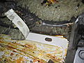 Click image for larger version

Name:	IMG_7263.jpg
Views:	961
Size:	307,6 Kt
ID:	1622129
