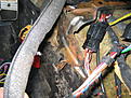 Click image for larger version

Name:	IMG_0530.JPG
Views:	234
Size:	305,9 Kt
ID:	1647025