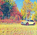Click image for larger version

Name:	IMG_Laugh_20191014_172255_processed.jpg
Views:	4194
Size:	309,9 Kt
ID:	1866091