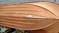 Click image for larger version

Name:	boatproject_fixing_bottom_02.jpg
Views:	6410
Size:	162,0 Kt
ID:	1868185