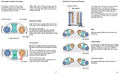 Click image for larger version

Name:	SSP192_sivut_27_ja_29.png
Views:	1357
Size:	415,7 Kt
ID:	1895405